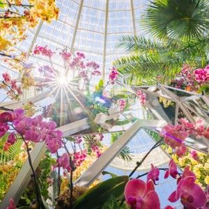 Meet your Posher, Sue